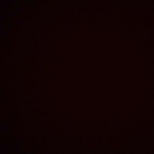 Meet your Posher, Anton